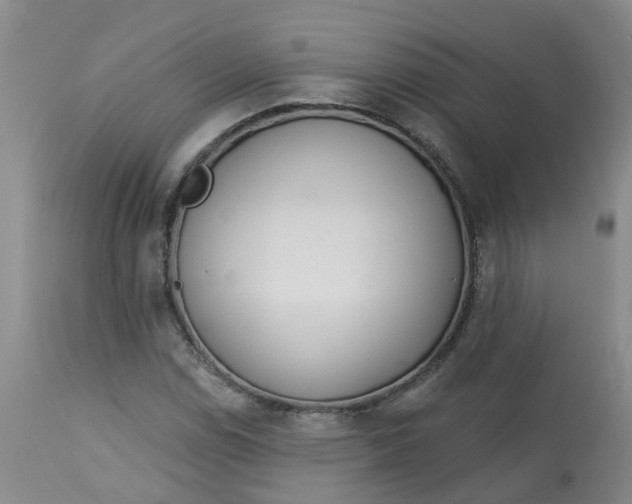 X0000113081114200909110957