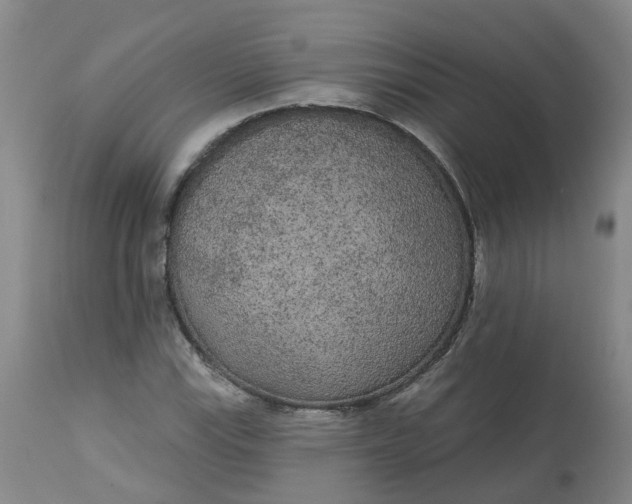 X0000113081115200909110957