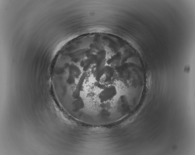 X0000113081117200909110957