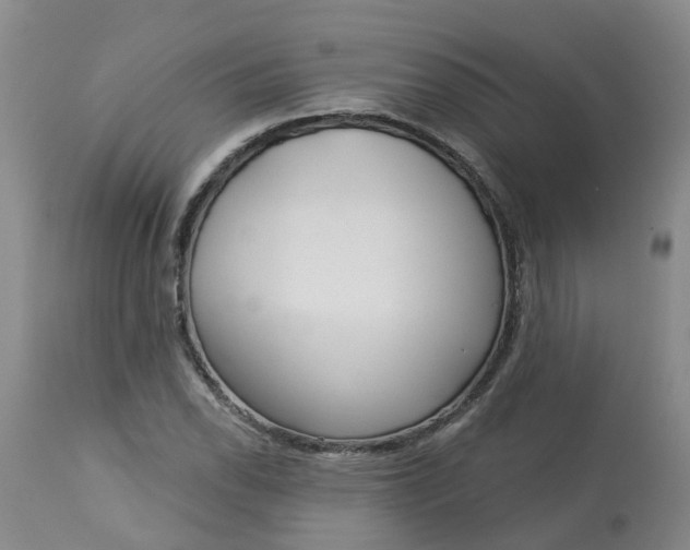 X0000113081118200909110957