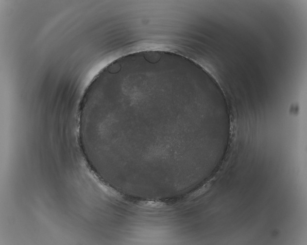 X0000113081119200909110957