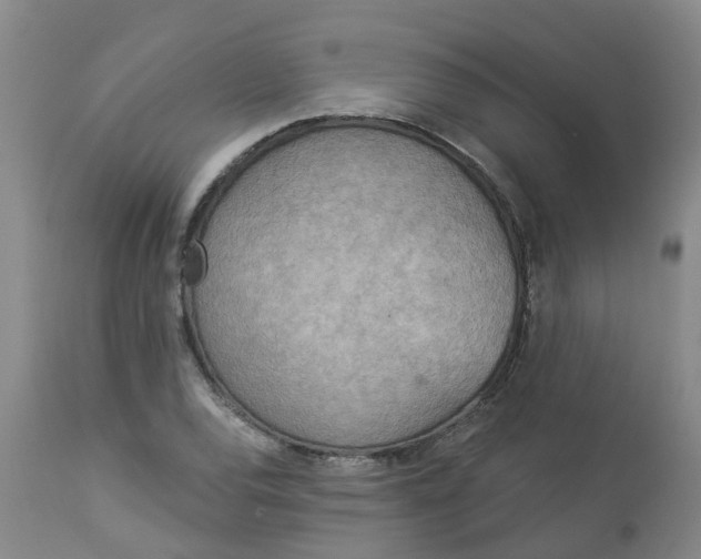 X0000113081120200909110957