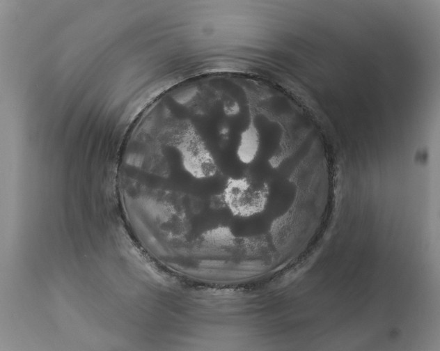 X0000113081121200909110957