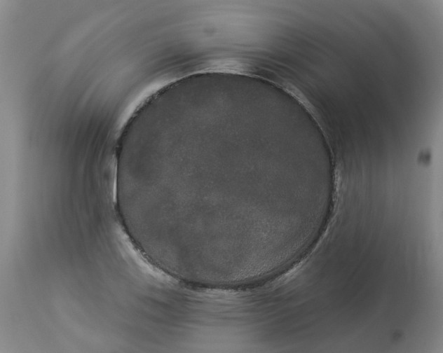 X0000113081123200909110957