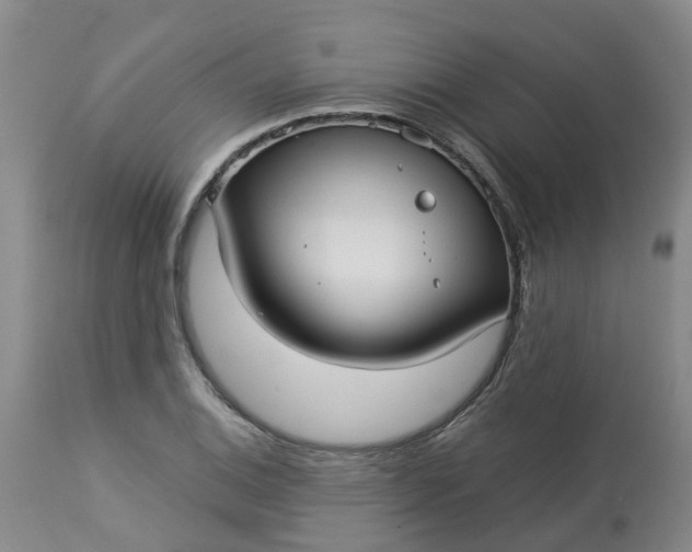 X0000113081124200909110957