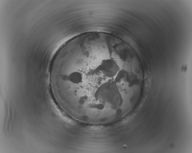 X0000113081125200909110957