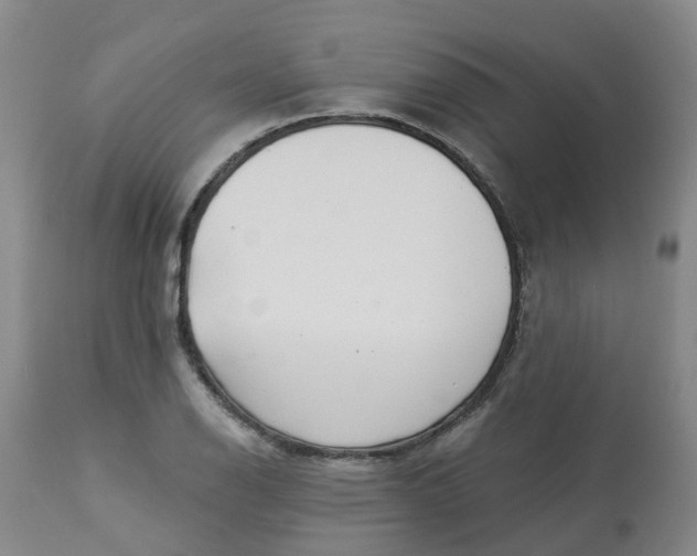 X0000113081126200909110957