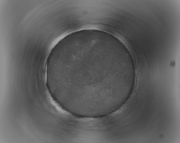 X0000113081127200909110957