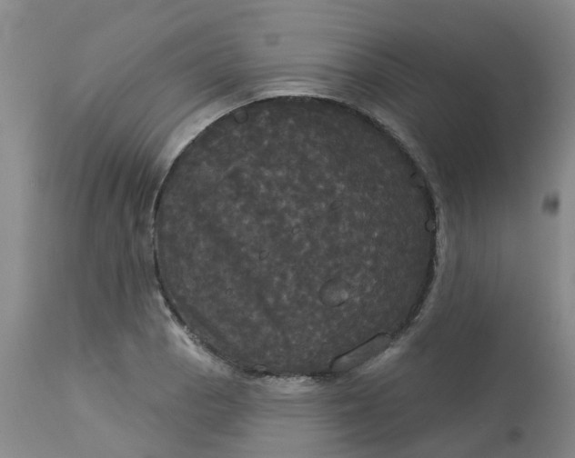 X0000113081129200909110957