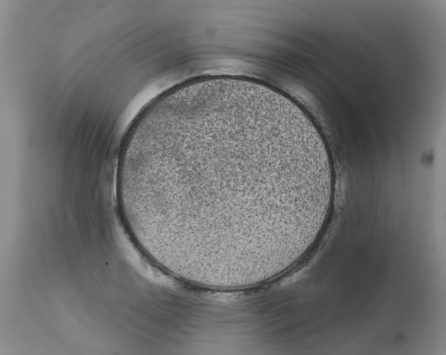 X0000113081130200909110957