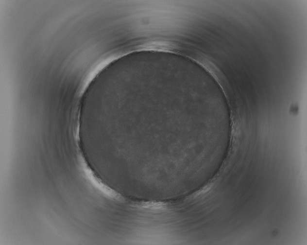 X0000113081131200909110957