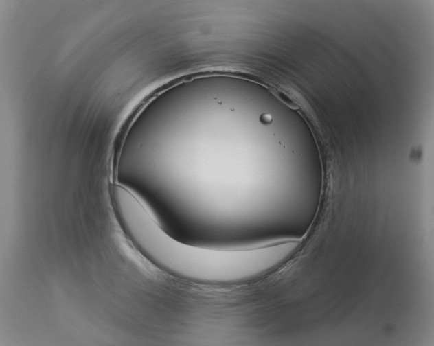 X0000113081132200909110957