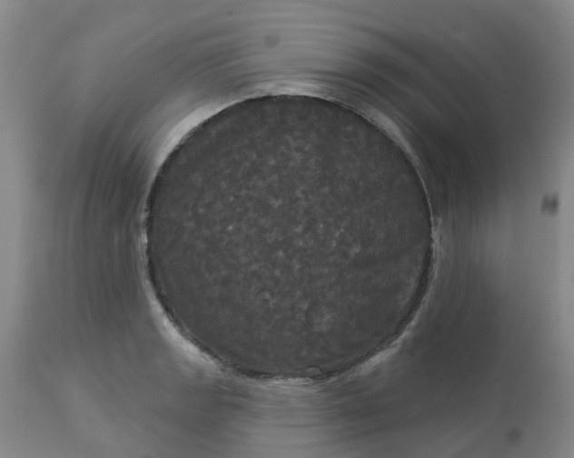 X0000113081133200909110957