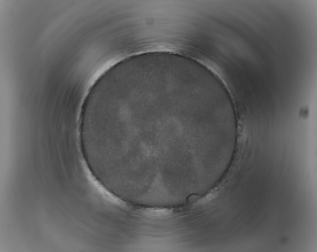 X0000113081135200909110957