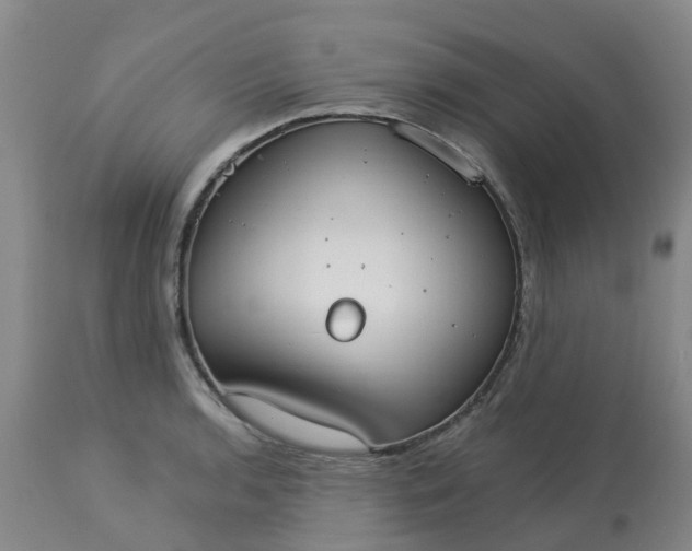 X0000113081136200909110957