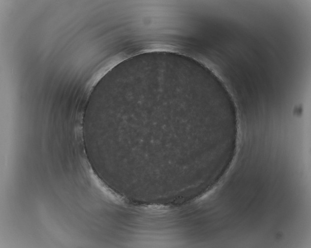 X0000113081137200909110957