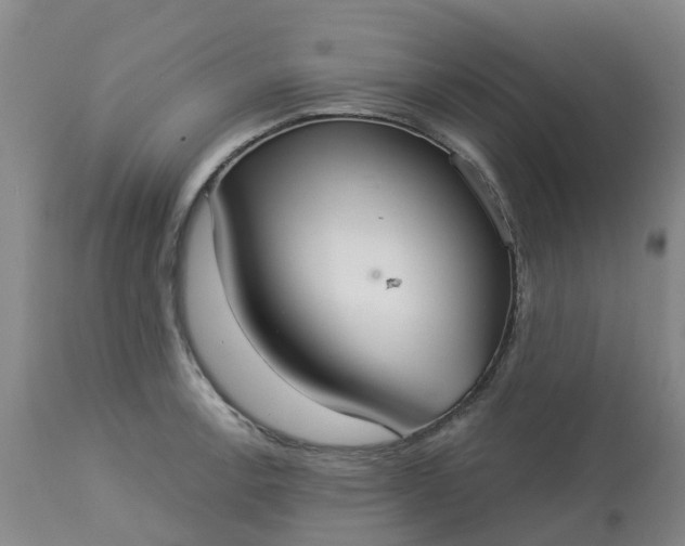 X0000113081138200909110957