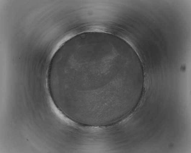 X0000113081139200909110957