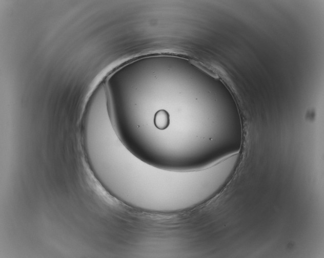 X0000113081140200909110957