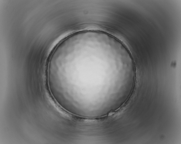 X0000113081142200909110957