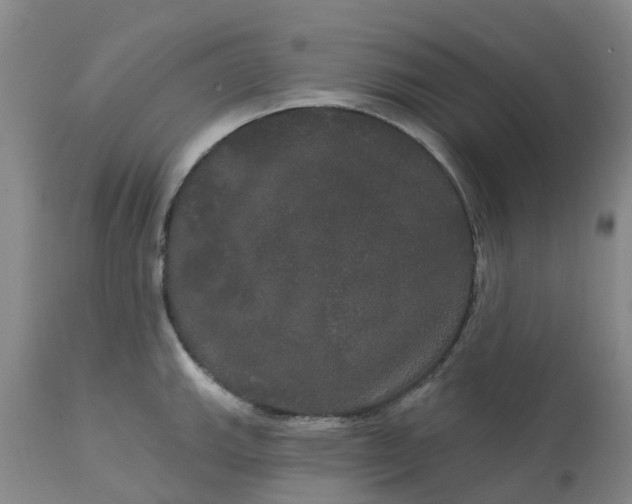 X0000113081143200909110957