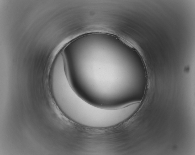 X0000113081144200909110957