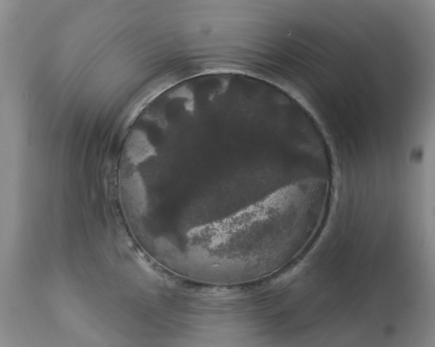 X0000113081145200909110957