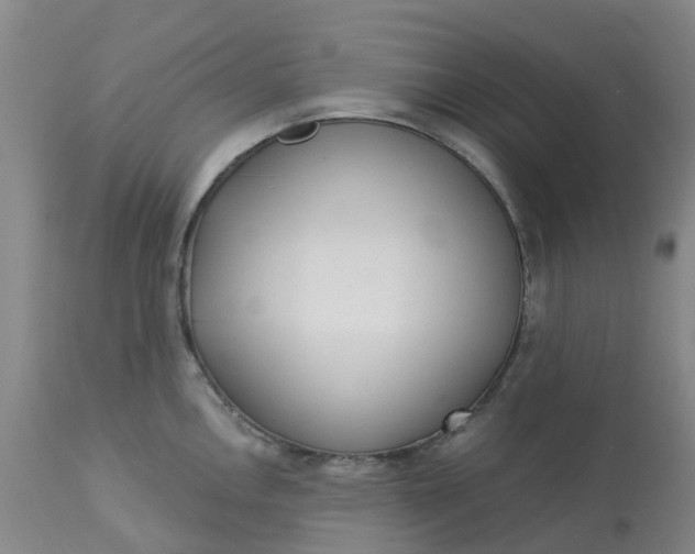 X0000113081146200909110957