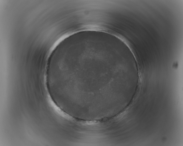 X0000113081147200909110957