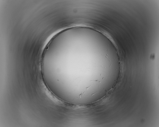 X0000113081148200909110957