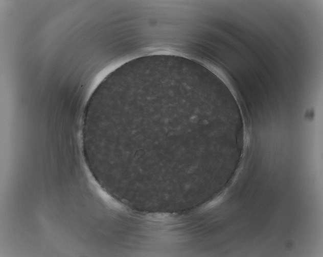 X0000113081149200909110957