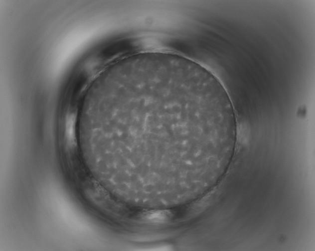 X0000113081150200909110957