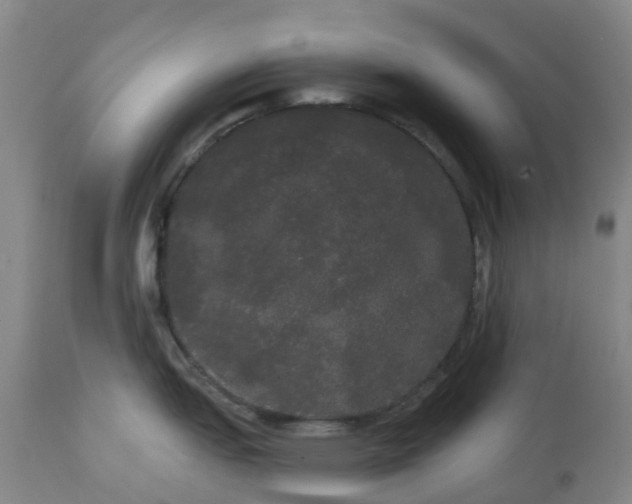 X0000113081151200909110957