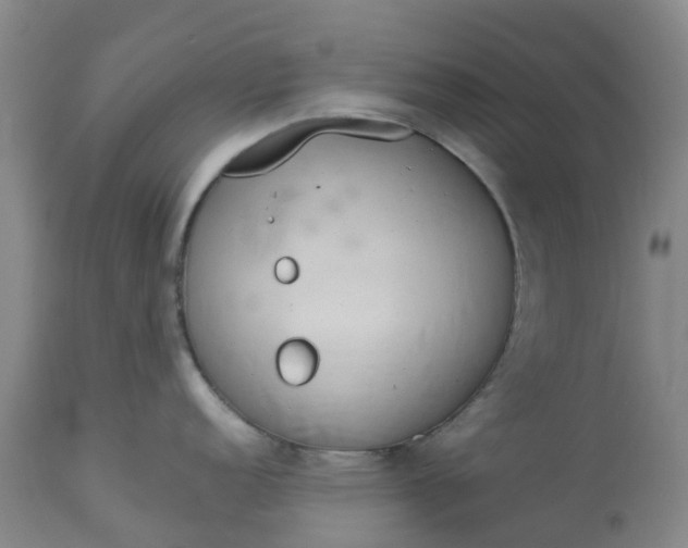 X0000113081152200909110957