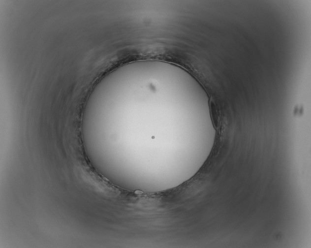 X0000113081153200909110957