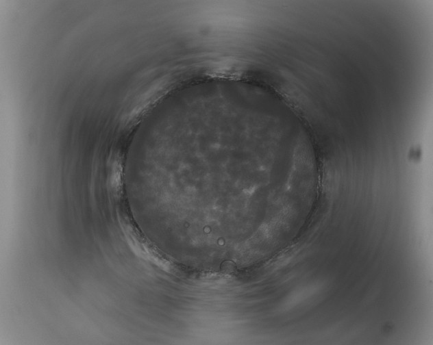 X0000113081154200909110957