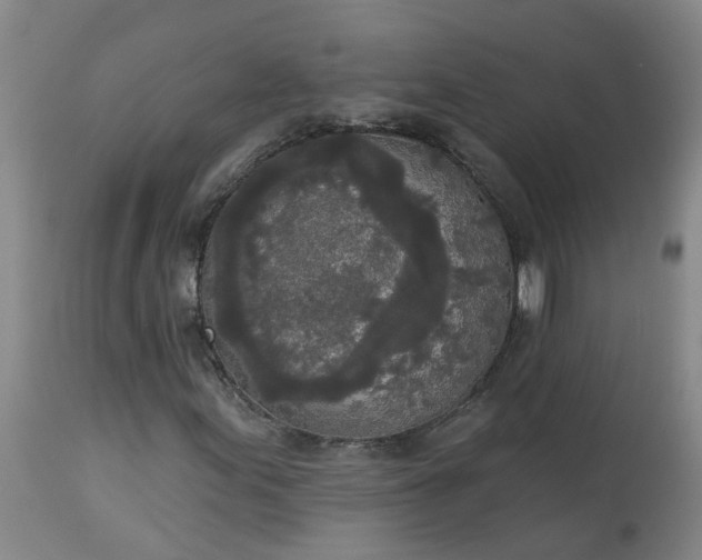 X0000113081155200909110957