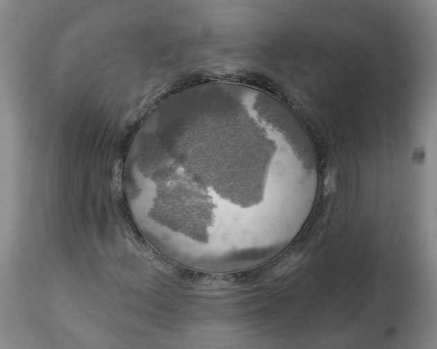 X0000113081156200909110957