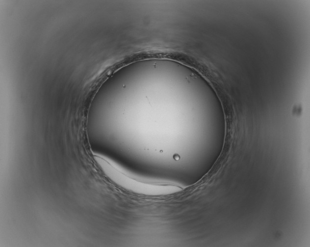 X0000113081157200909110957