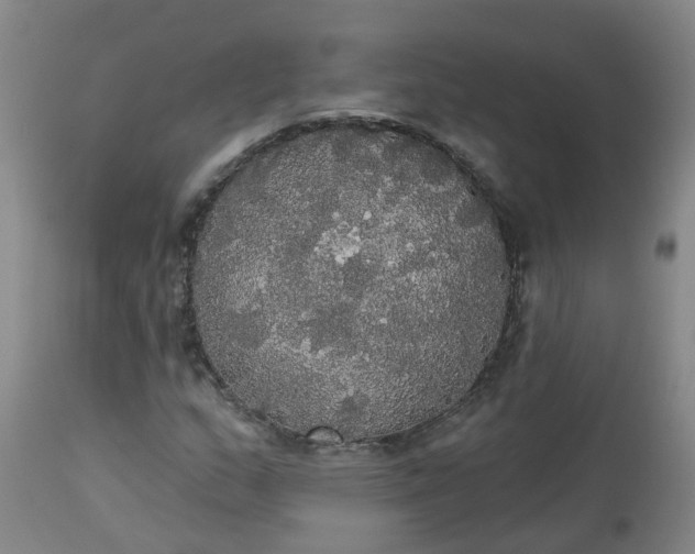 X0000113081159200909110957