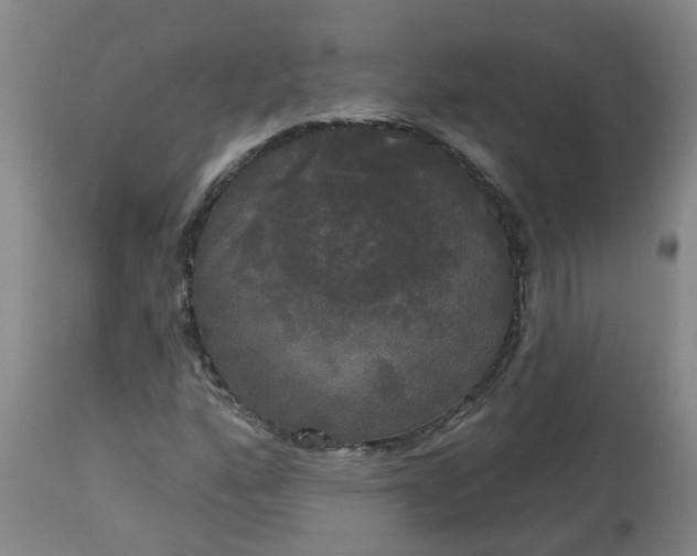 X0000113081160200909110957