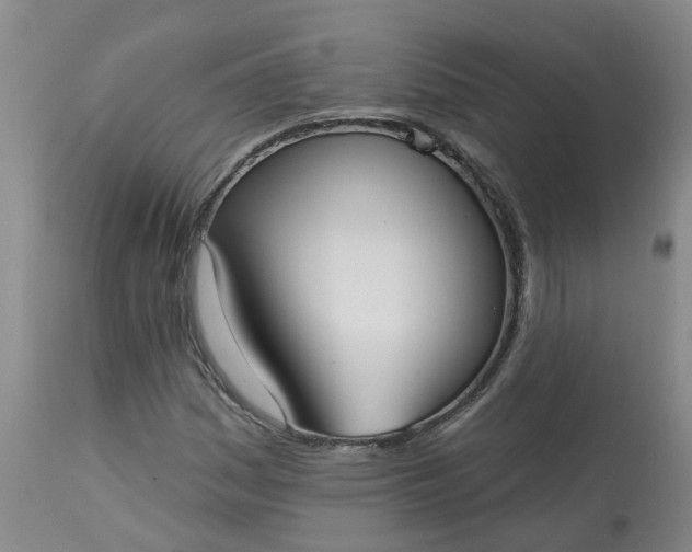 X0000113081161200909110956