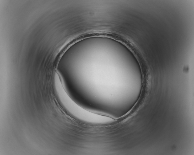 X0000113081162200909110956