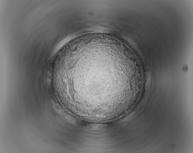 X0000113081163200909110956