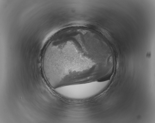 X0000113081164200909110956