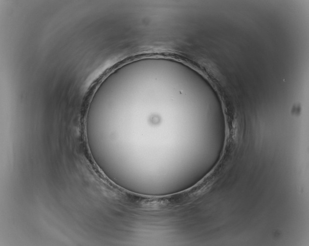 X0000113081165200909110956