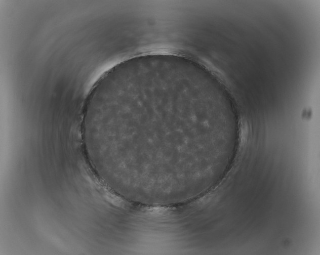 X0000113081166200909110956