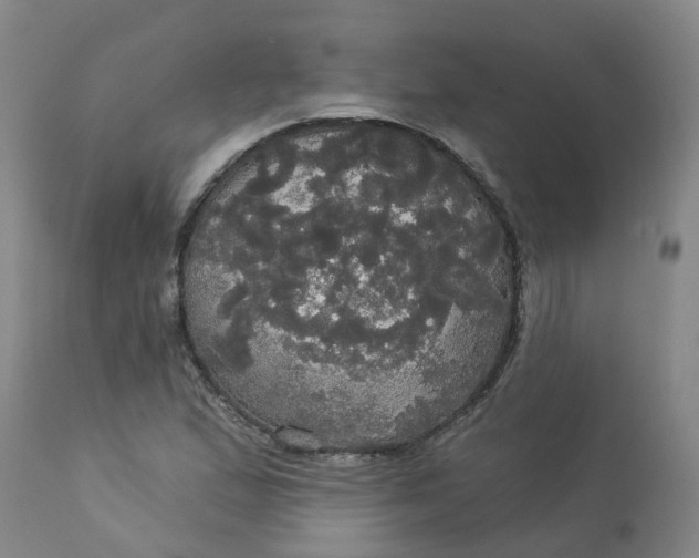 X0000113081167200909110956