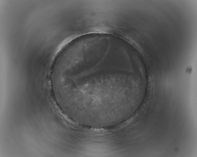 X0000113081168200909110956