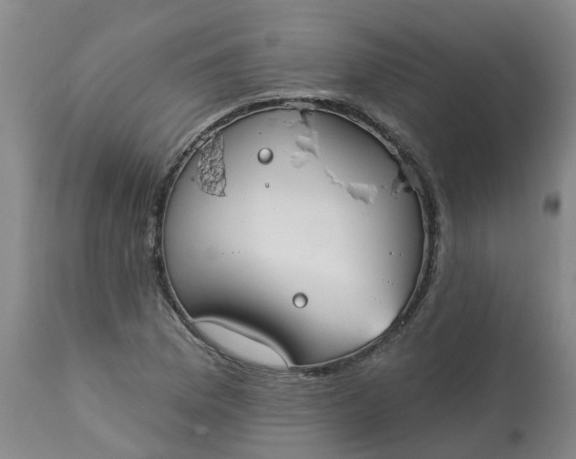 X0000113081169200909110956